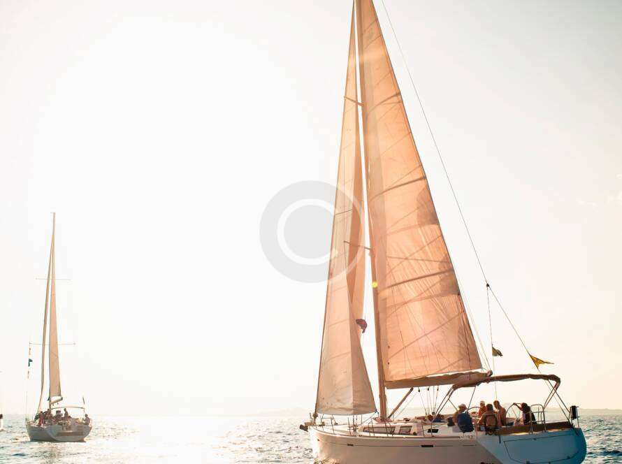image 4 copyright