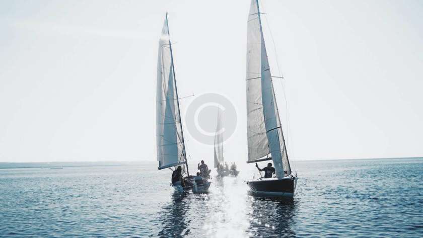 image 20 rtv copyright
